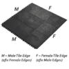 Interlock Solid Surface Rubber Tiles Edges Info